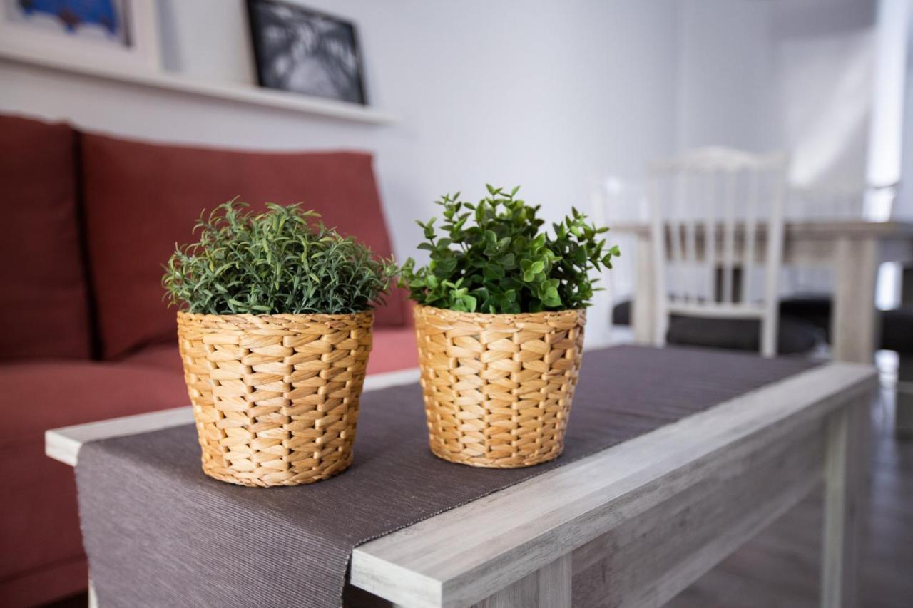 Apartamento Turistico Mis Rayitos Córdoba Exteriör bild