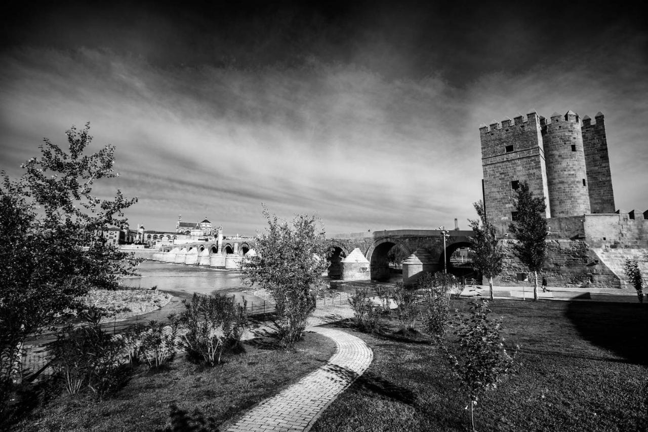 Apartamento Turistico Mis Rayitos Córdoba Exteriör bild